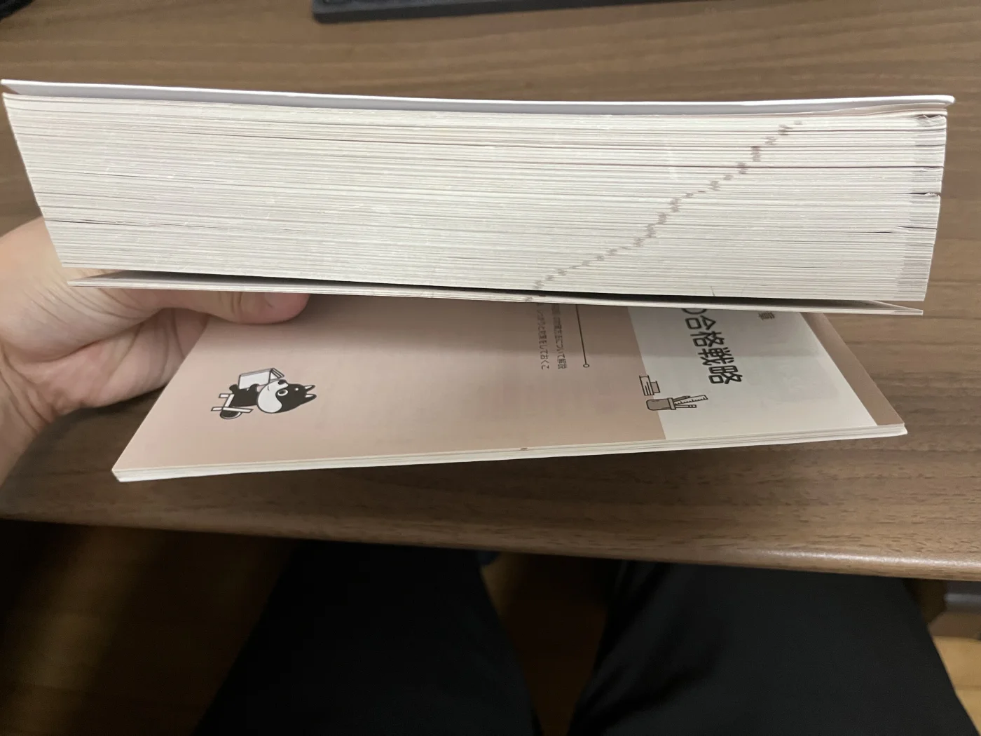 いちばんやさしい基本情報技術者 科目B部分の薄さをしおりで比較